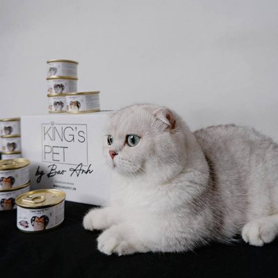 Pate dinh dưỡng cho thú cưng