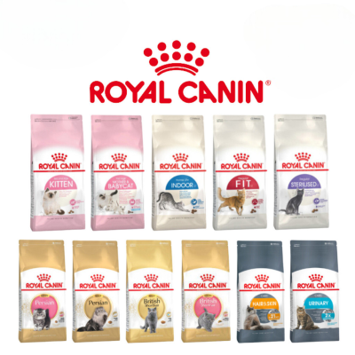 hạt Royal Canin Kitten